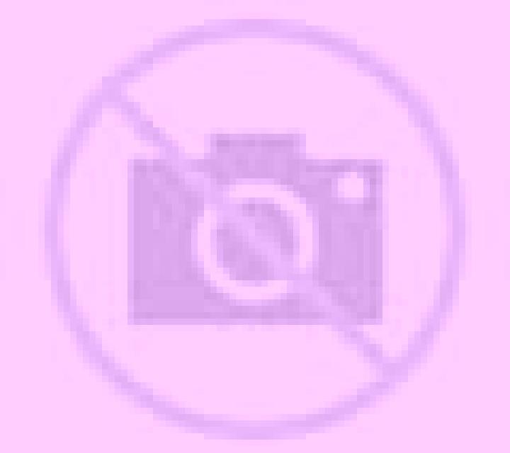 Andrea 2 Dalcahue escort
