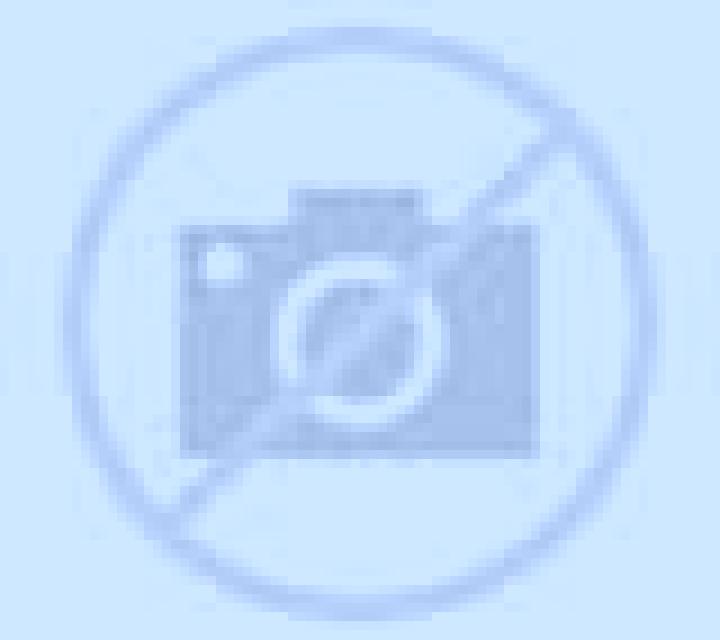 Antonia Chicureo escort