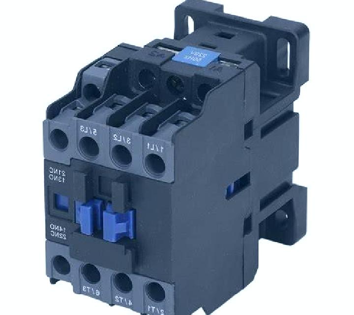Bianca Concon escort