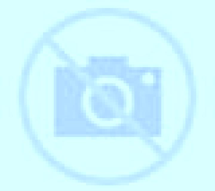 Camila 2 Concon escort
