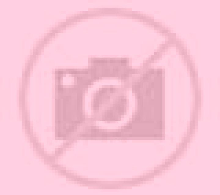Camila Calbuco escort