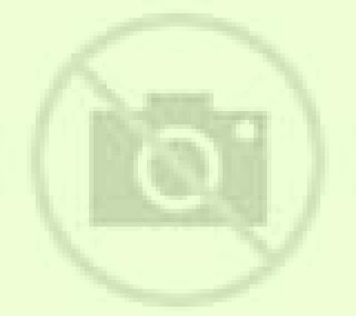 Carmen 2 Arauco escort