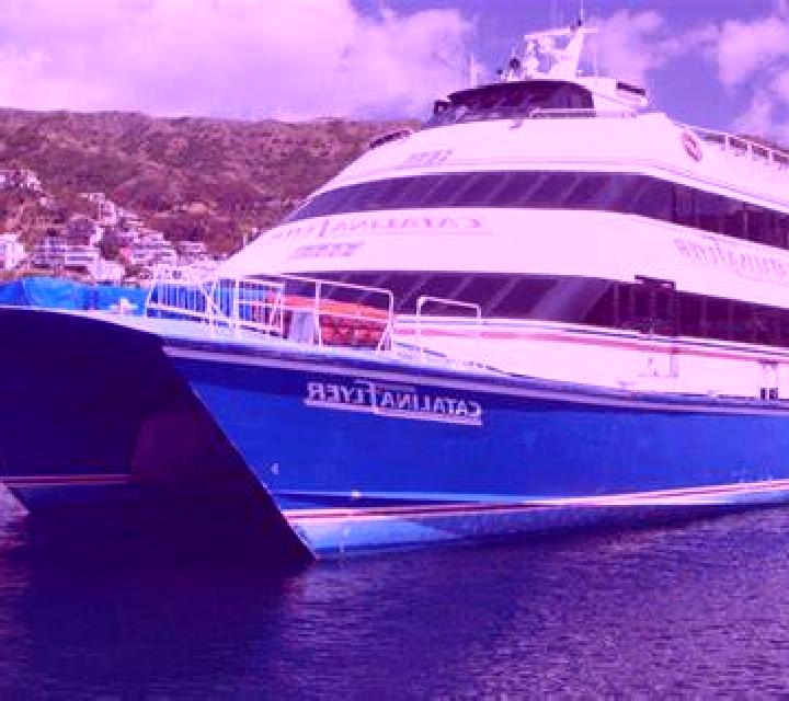 Catalina Quellon escort