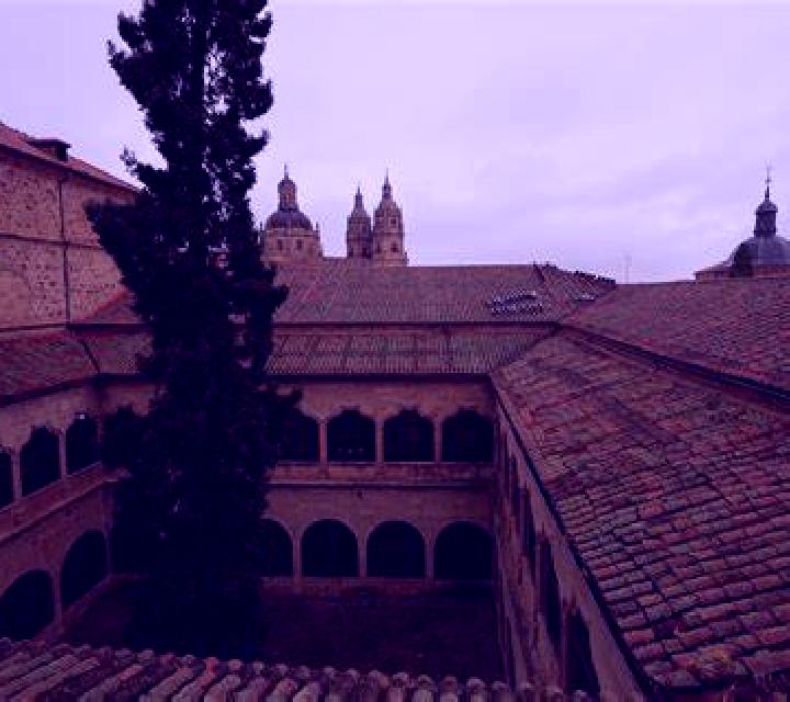 Cielo Salamanca escort