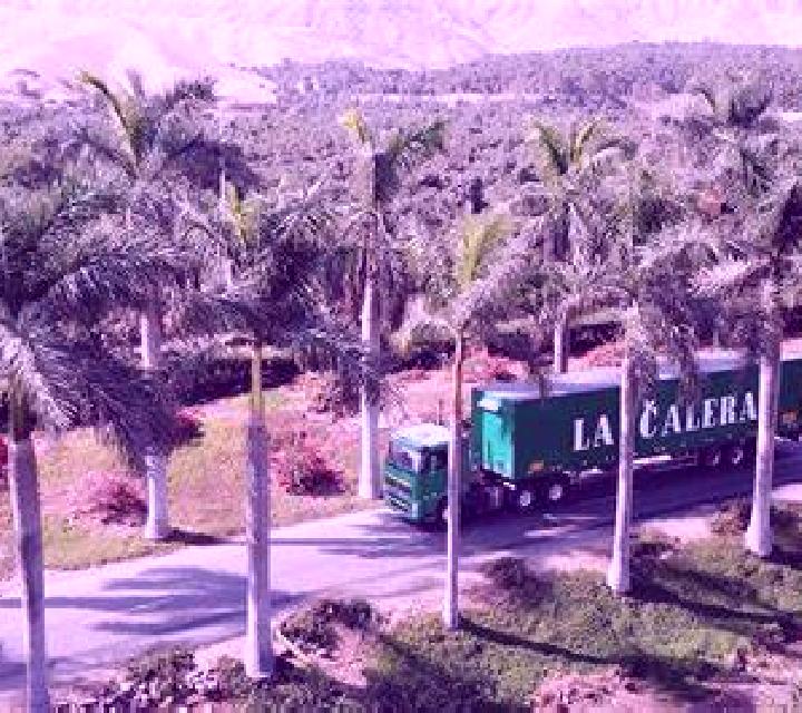 Colomba 3 Hacienda La Calera escort