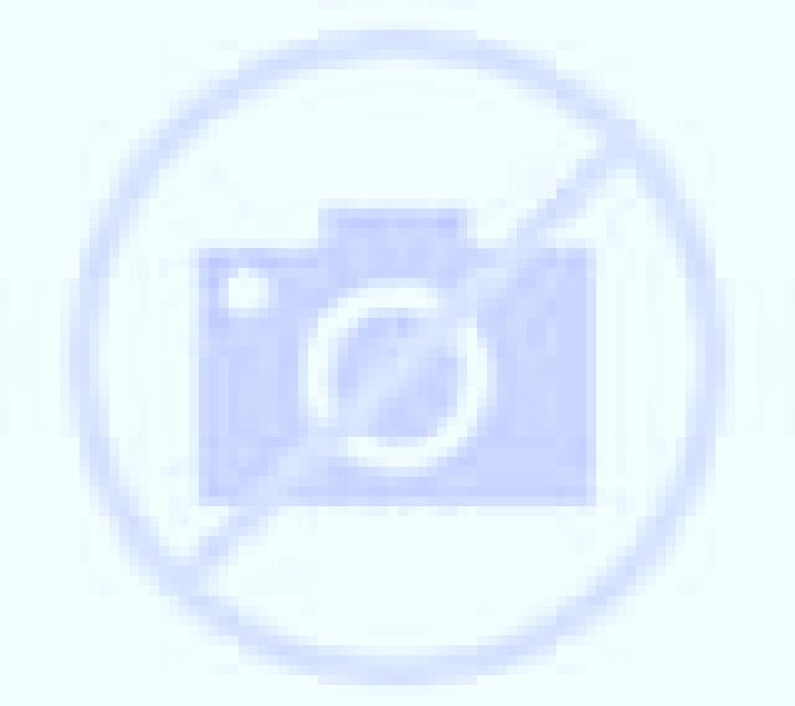 Diana 2 San Francisco de Mostazal escort