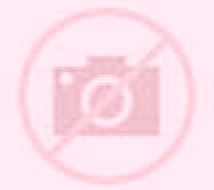 Javiera 3 Palmilla escort