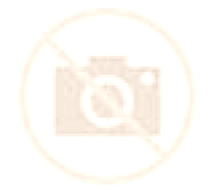 Josefa 3 Pica escort