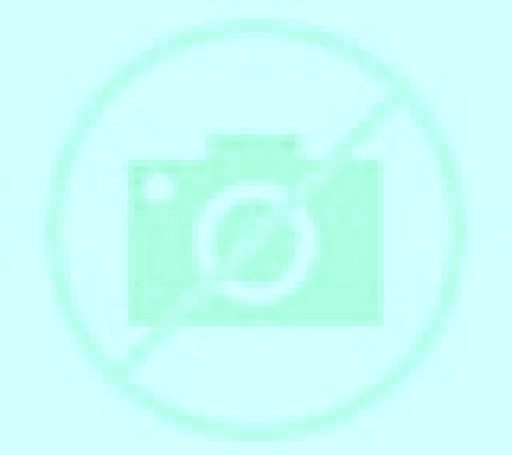 Katia 2 Algarrobo escort