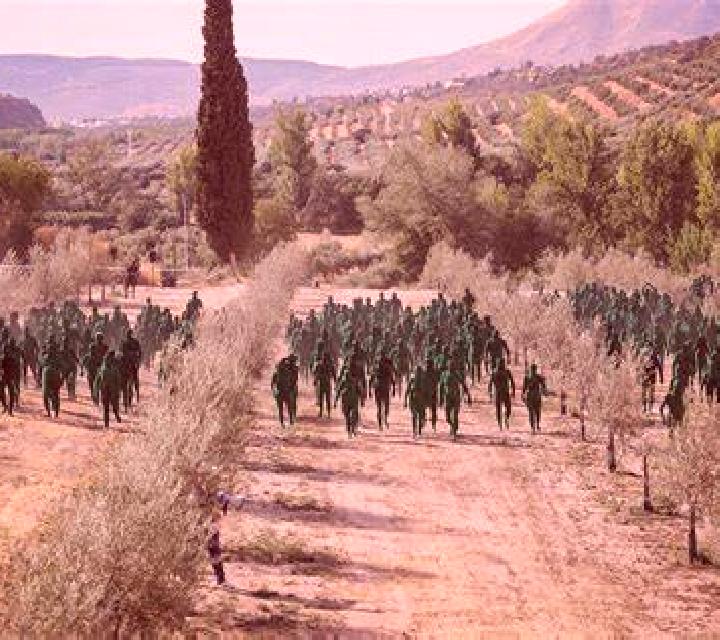 Luna 3 Olivar escort