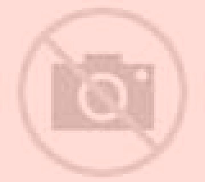 Macarena 2 Curacautin escort