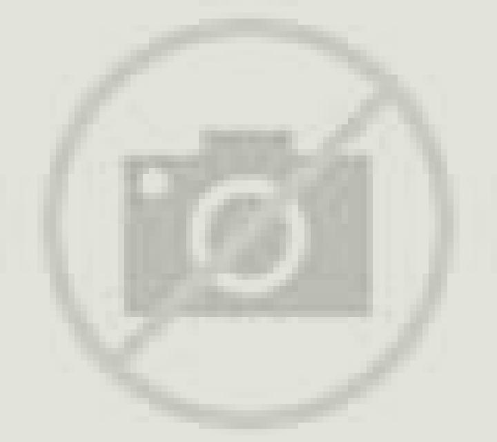 Millaray 3 Hanga Roa escort