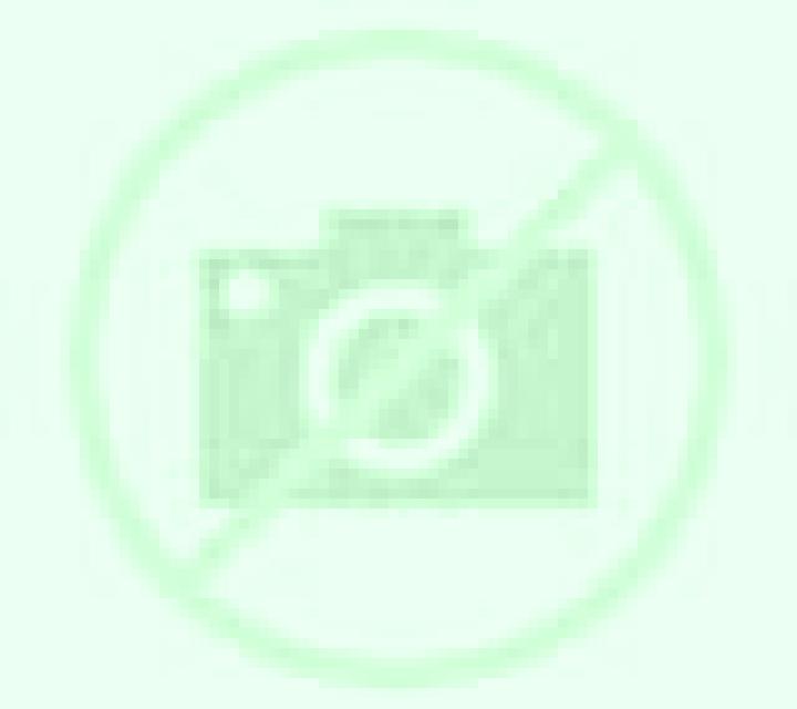 Noelia 3 Chillan escort