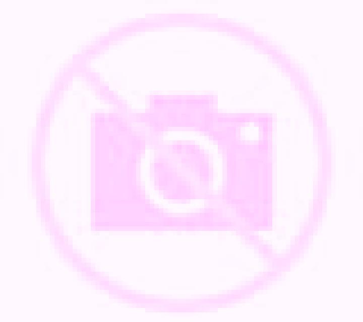 Olivia 2 Coihueco escort