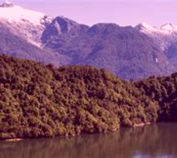 Salma 2 Puerto Chacabuco escort