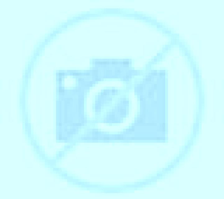 Salma 3 Los Andes escort