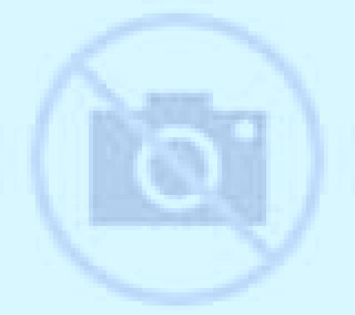 Salma 3 Ovalle escort