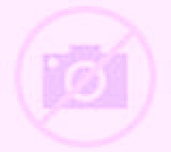 Trinidad San Antonio escort