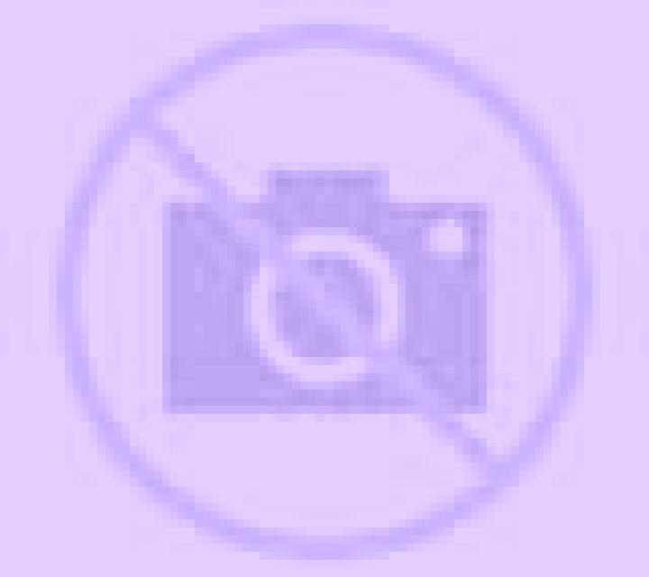 Vega 3 San Francisco de Mostazal escort