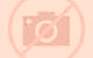 Vicenta 2 Chaiten escort