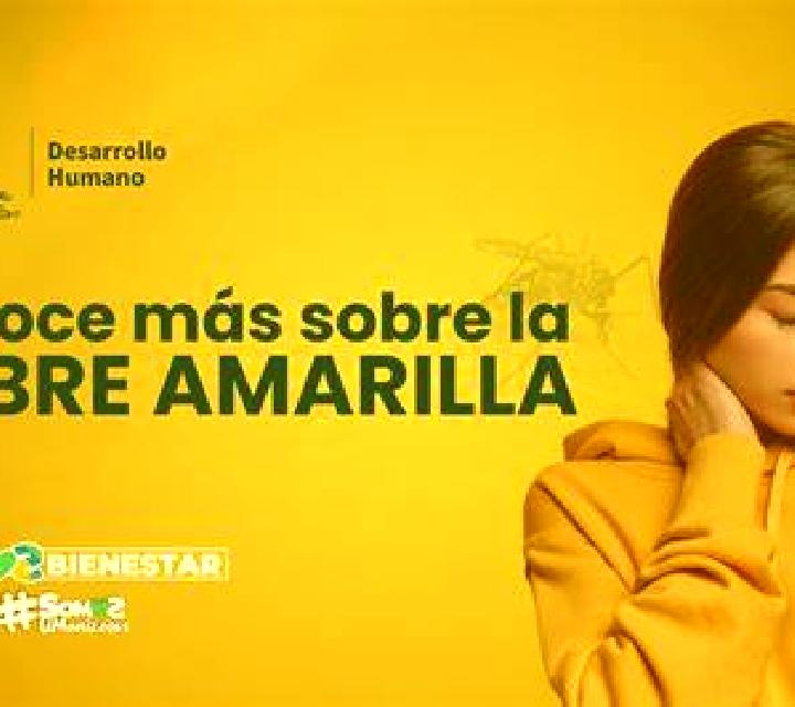 Zara 3 Tierra Amarilla escort