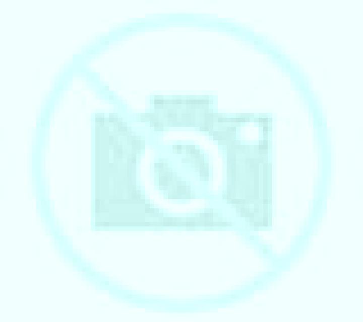 Zara 3 Villa Alegre escort